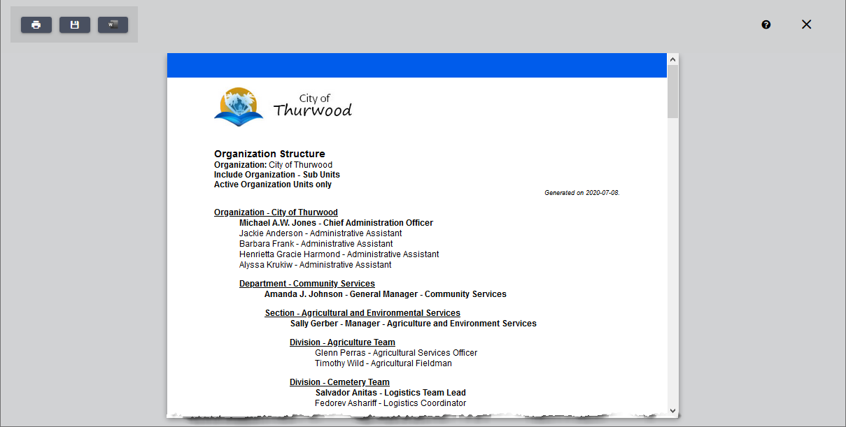 Organization structure 17_view_print report