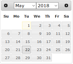 date  picker