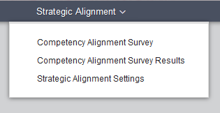 main menu 2_Strategic Alignment