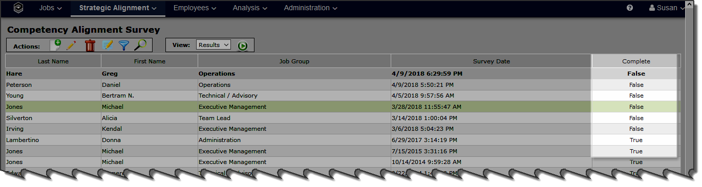 strategic alignment_casurvey4